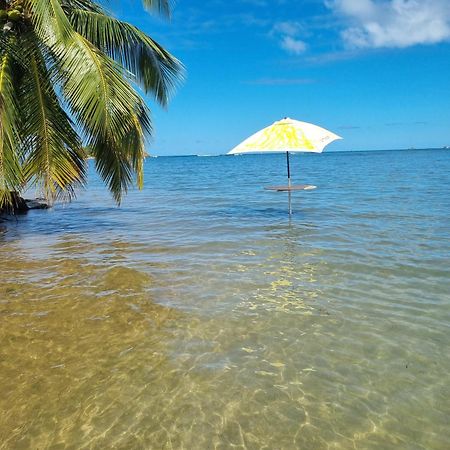 Apartamento Kozy Kaz - Les Pieds Dans L Eau Trinite  Exterior foto