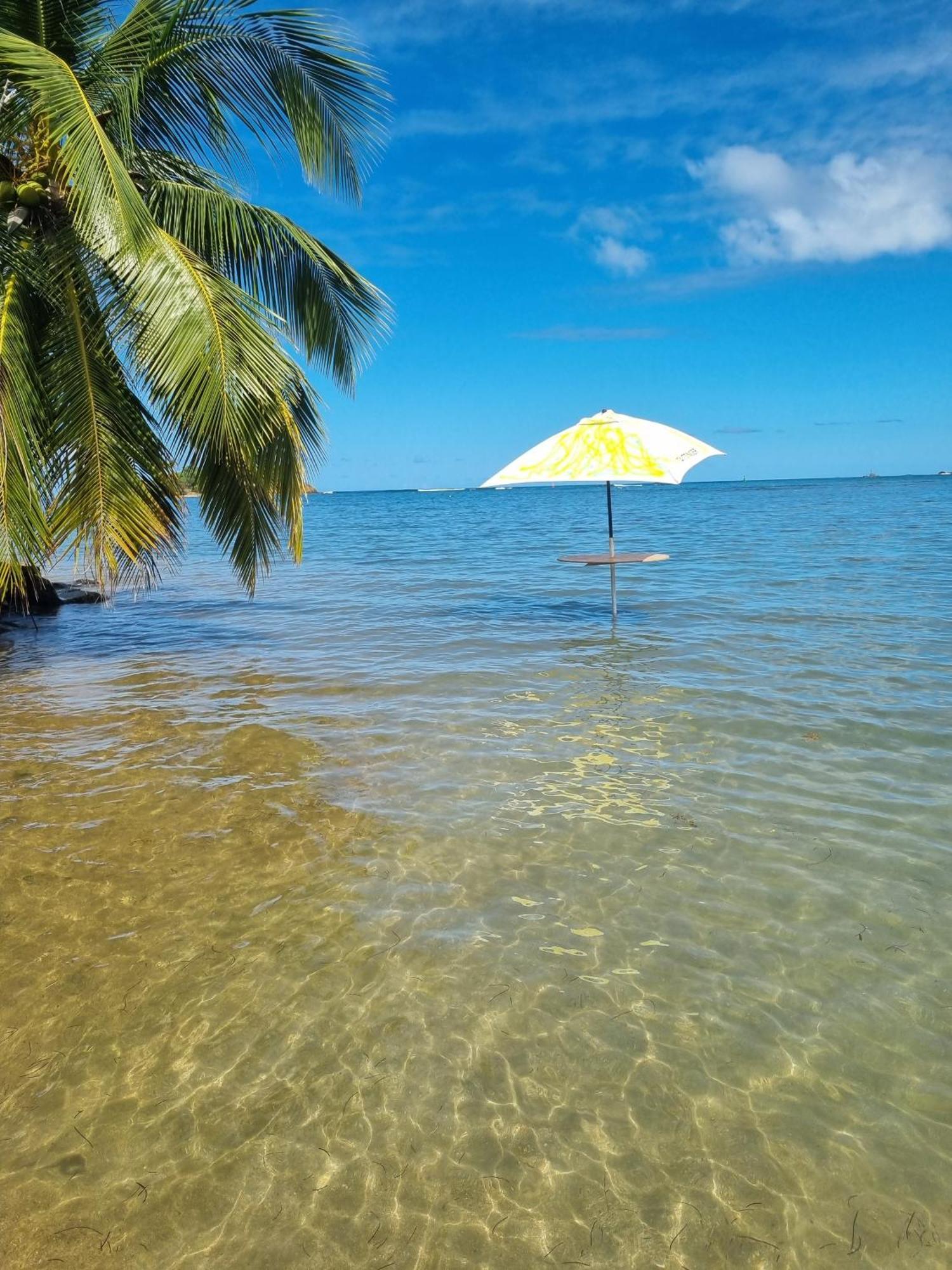 Apartamento Kozy Kaz - Les Pieds Dans L Eau Trinite  Exterior foto