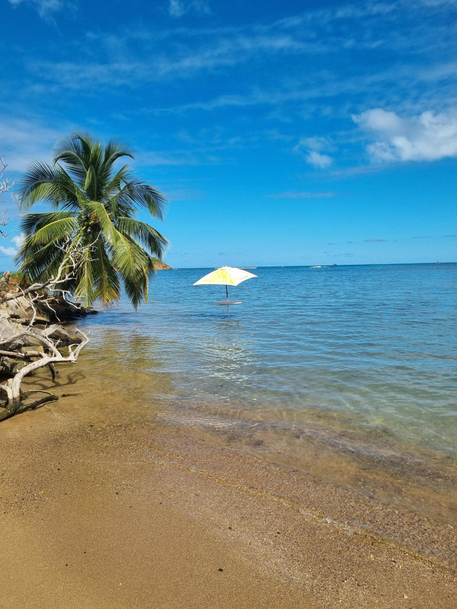 Apartamento Kozy Kaz - Les Pieds Dans L Eau Trinite  Exterior foto